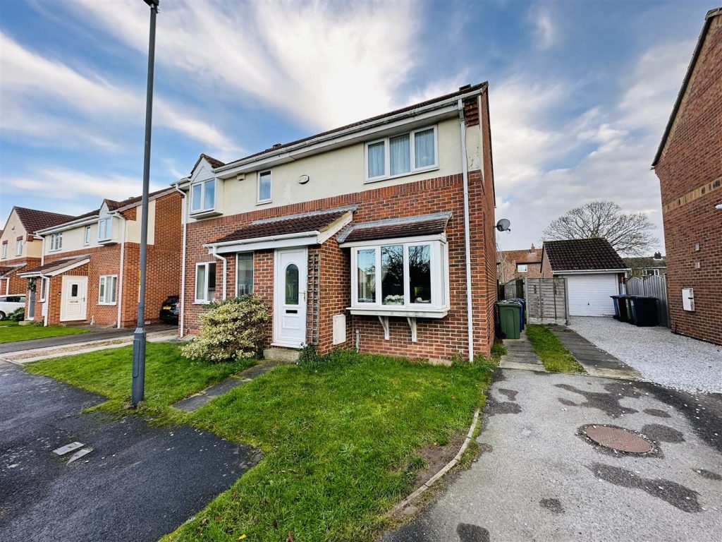 The Meadows, Carlton, Goole